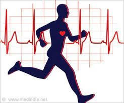 cardiovascular Strength